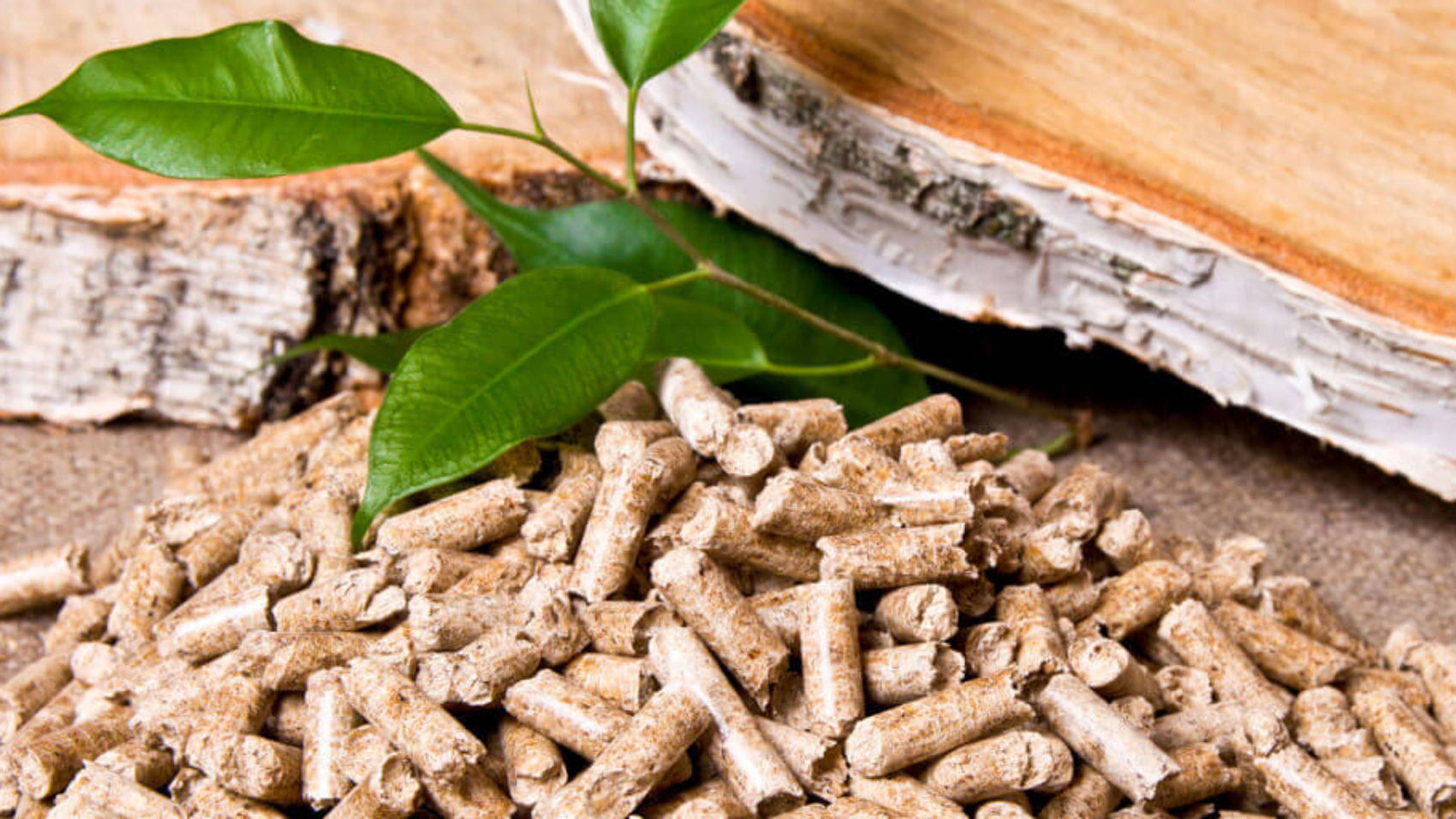 Blog Aquecedor Biomassa
